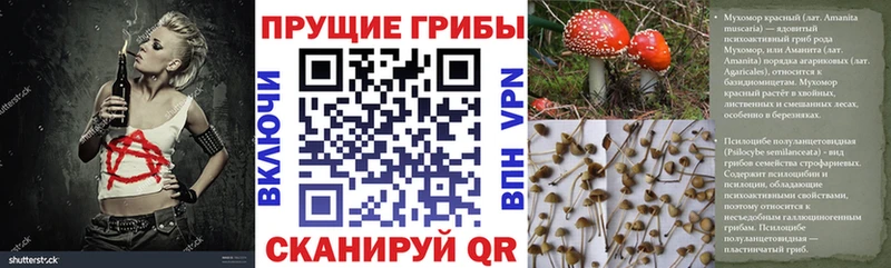 Галлюциногенные грибы MAGIC MUSHROOMS  где купить   Щёлкино 